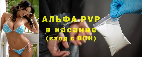 молекула духа Аркадак