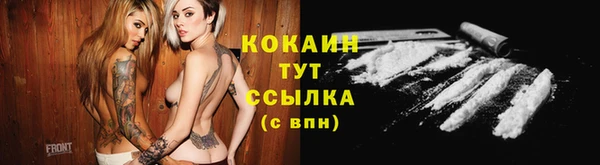 молекула духа Аркадак