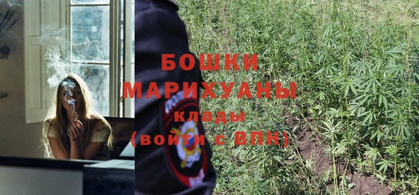 молекула духа Аркадак