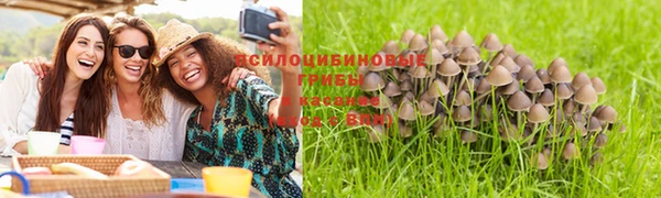 гашиш Арсеньев