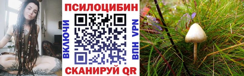 Псилоцибиновые грибы MAGIC MUSHROOMS  Шагонар 